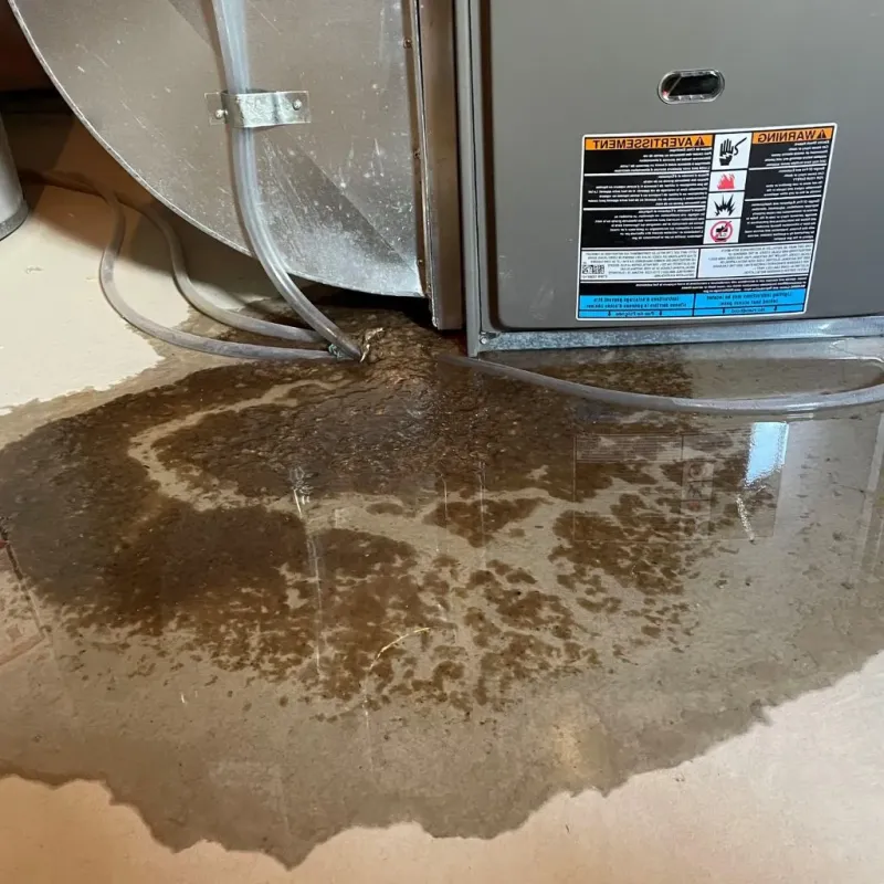 Pipe Burst and Leak Restoration in Ashton-Sandy Spring, MD