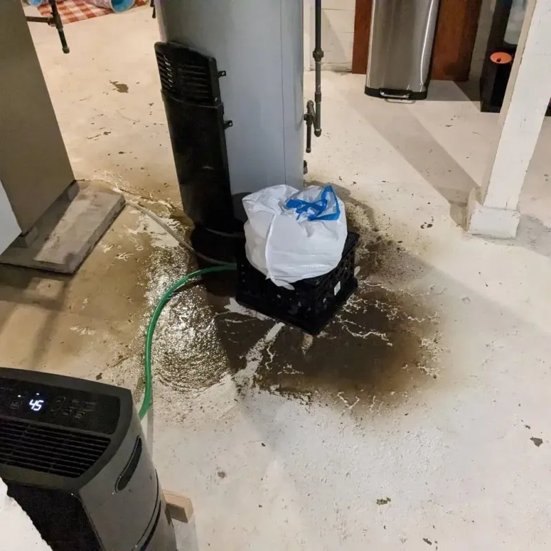 Sewage Backup Cleanup Service in Ashton-Sandy Spring, MD